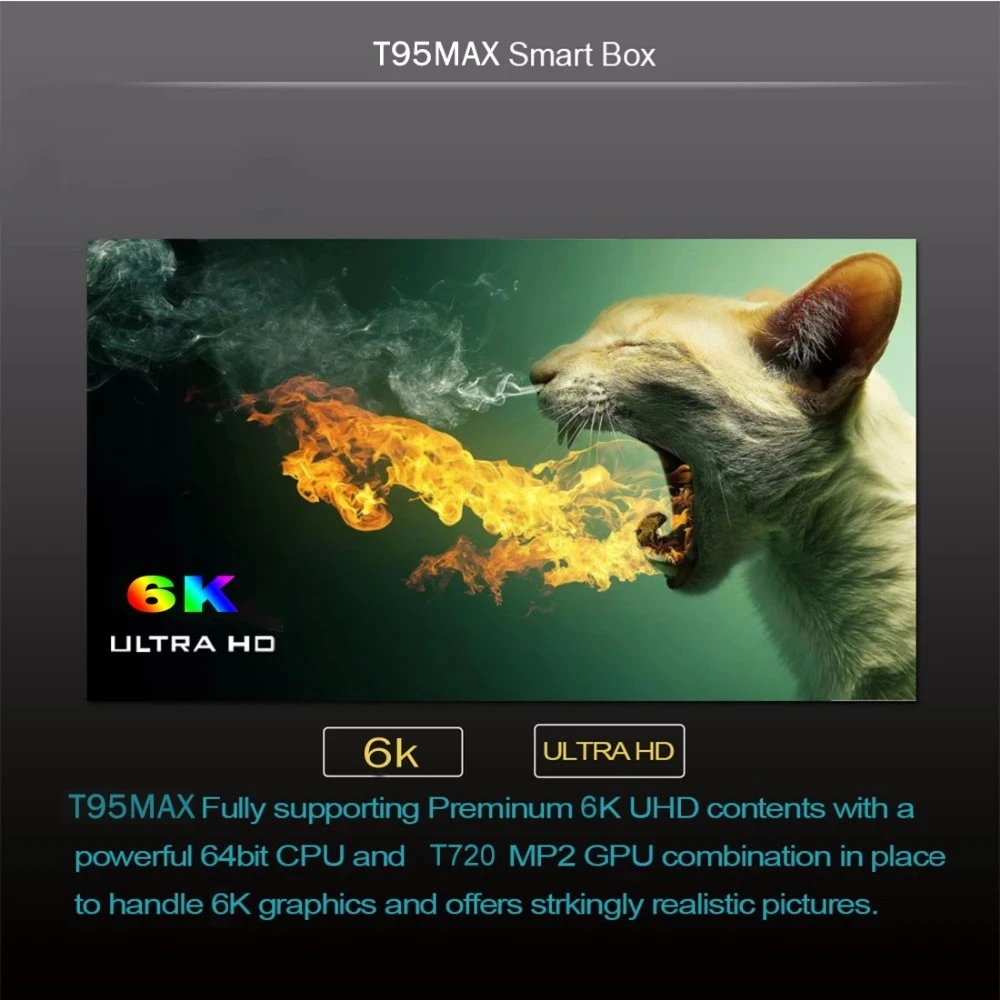 T95-MAX (7)