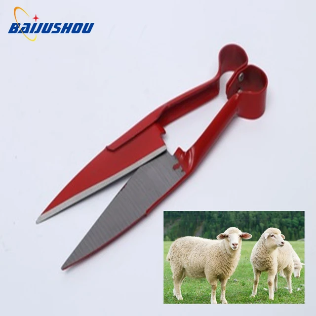 Sheep Shear Double Bow 30cm