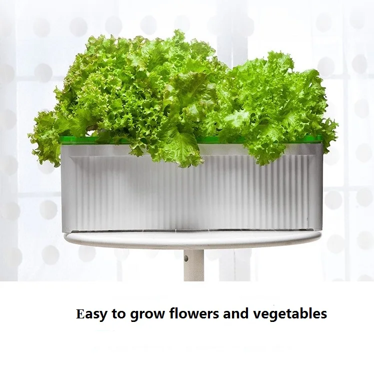 Mulifunctiinal DIY Grow vegetables fruit flower in living room or balcony Hydroponics system without earth green garden