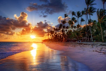 

New Arrive Hot Sale Seaside beach dusk Photo Backdrops Photo Studio Computer Painted baby Background wall XT-3551