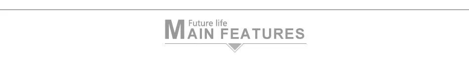 main feature