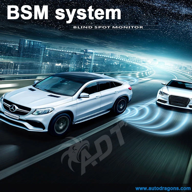 Blind spot monitor system (1)