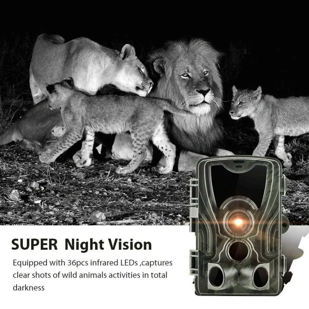 1080 P HD широкоугольный 16MP камера Дикая природа 940nm 36 светодиоды ИК ночного видения Водонепроницаемая камера наружная дикая фотоловушка для охоты