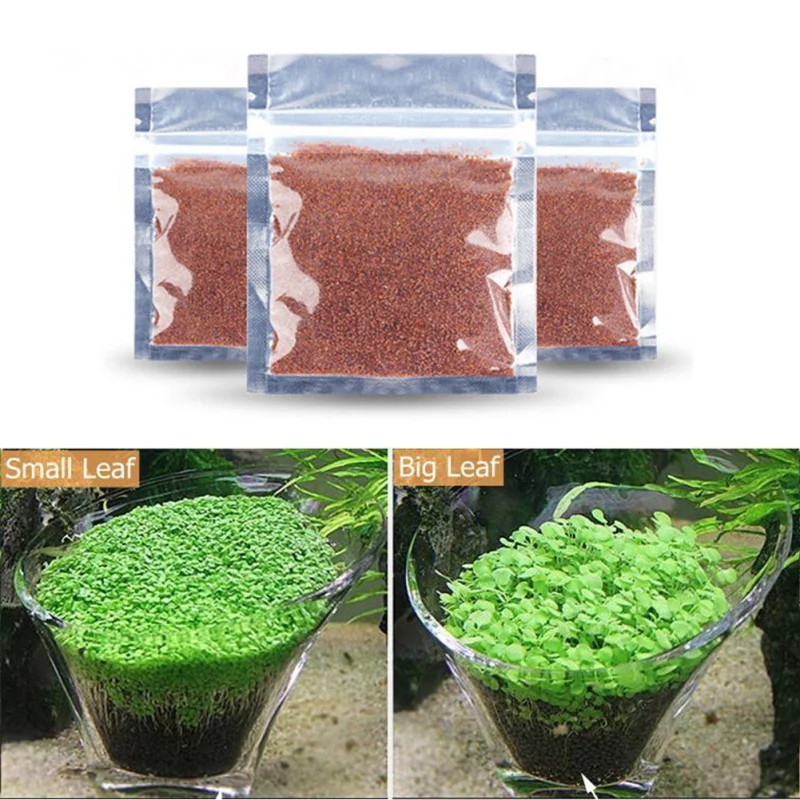 

New Plant Grass Aquarium Fish Tank Plants Prospects Waterweed grass Seeding Landscaping Plant Decoration