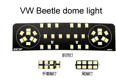 Beetle.jpg