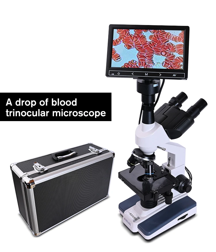 Зум 5MP цифровой Тринокулярный HD Биологический Микроскоп лабораторный микроскоп светодиодный свет+ электронный окуляр микроскопа+ 7-дюймовый ЖК-дисплей+ USB кабель для передачи данных+ металлический ящик