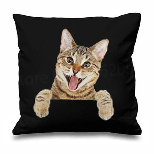 HTB1ik02LFXXXXb_XXXXq6xXFXXXz__