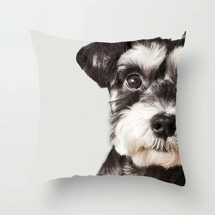 Superman Terbang Menarik Anjing Pug Kartun Hewan Digital Dicetak