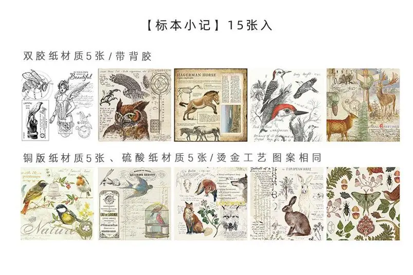 Vintage Bird Background Vellum Paper Stickers for Scrapbooking Happy Planner Card Making Journaling Project