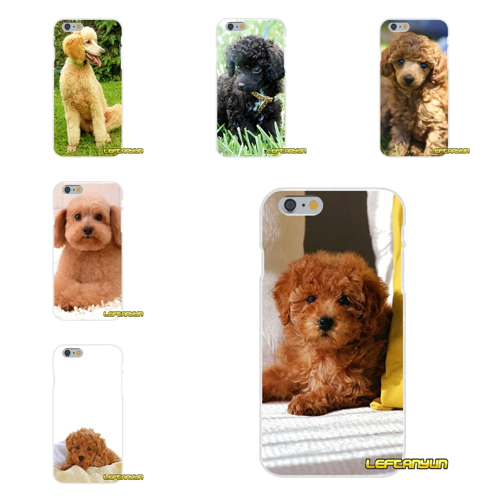 

Toy Poodle Dog Puppy For iPhone X 4 4S 5 5S 5C SE 6 6S 7 8 Plus Accessories Phone Cases Covers