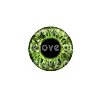 QQ截图20190617120341
