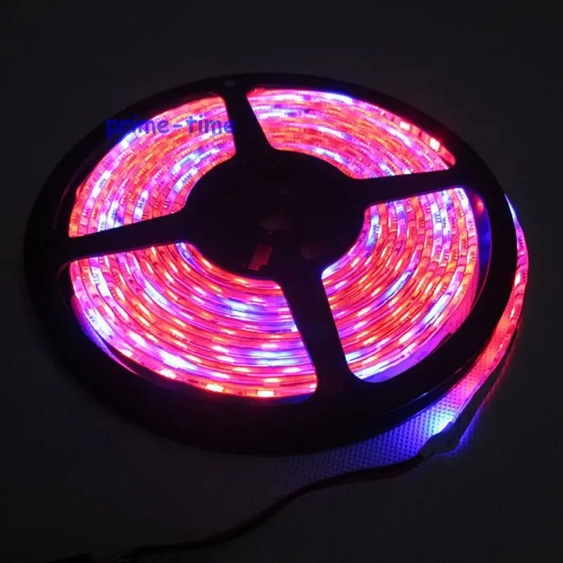 5 M/16.4ft DC12V IP65 эпоксидная смола Водонепроницаемая 5050SMD 60LED/M Красный 1 синий 5:1