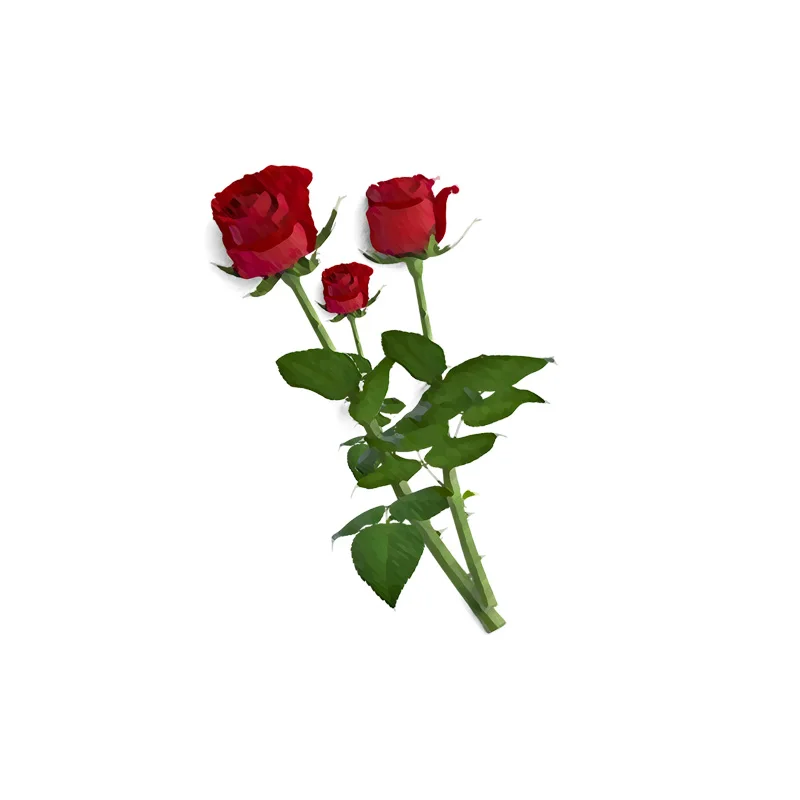 Zttzdy 17*22,9 см кабулк красный цвет, Колючая Роза модные wc, сиденье для унитаза наклейки дома настенные украшения T2-0467