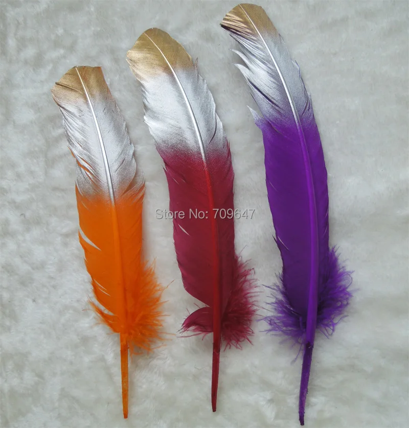 FMT0033 (7)