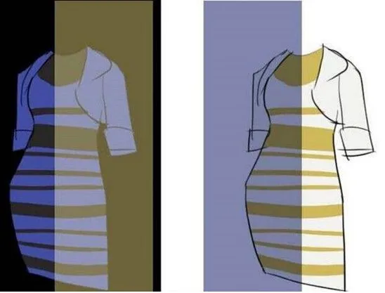 roman originals ladies clothing