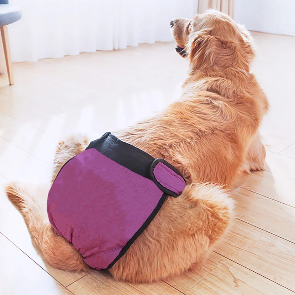 

Dog Diapers Dog Panties Health Pets Menstrual Physiological Pet Safety Waterproof Physiology Pants Reusable Diaper Dogs Pants