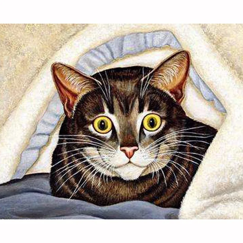 Портрет чёрного кота живопись. Британский кот маслом. Картины с кошками. Рисунки котиков. Кот под одеялом живопись.