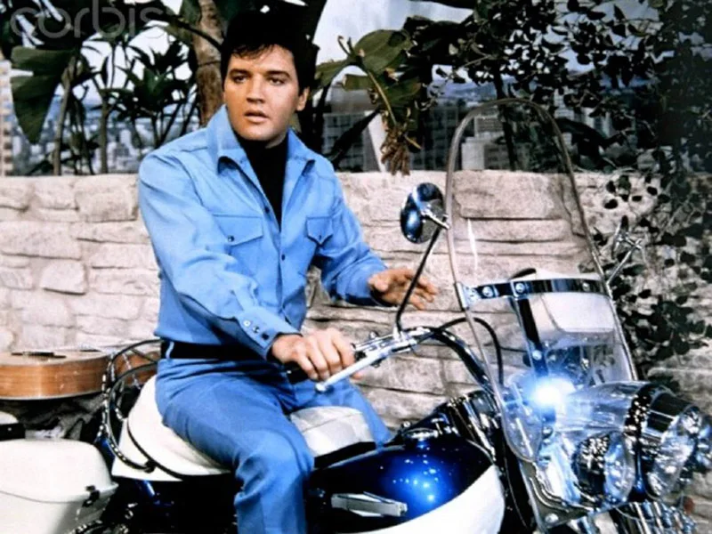 500_wKgH4lYWa3OAMaNvAAn_9OU2L5o137