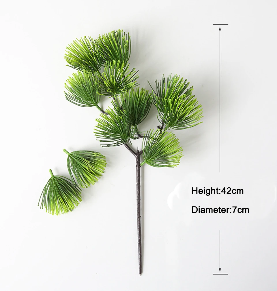 2plants 3