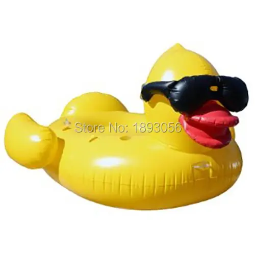 Riding Derby Duck 9