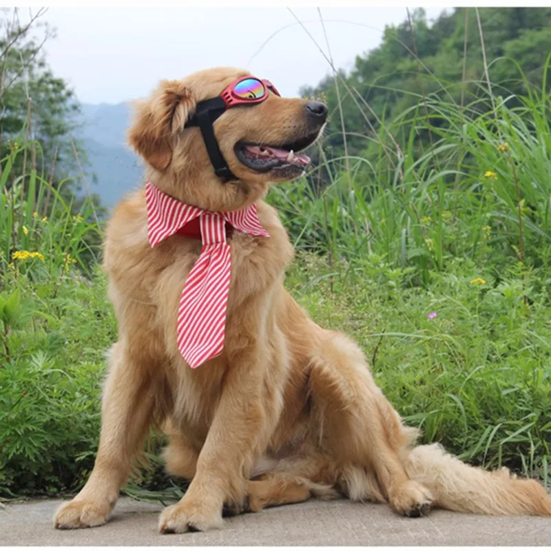 Fashion Dog Accessories Pet Bow Tie For Golden Retriever Large and