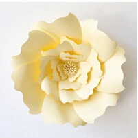 WEIGAO 2 шт 20 см бумажное украшение для свадьбы цветы сделай сам день рождения Искусственный цветок для дома детская комната фон украшение принадлежности - Цвет: Beige