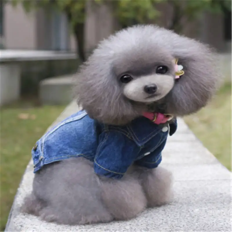 

Summer Dogs Clothes Jeans Coat Cat Dog Animal Cowboy Jean Jacket Four Leg Denim Clothing For Dogs