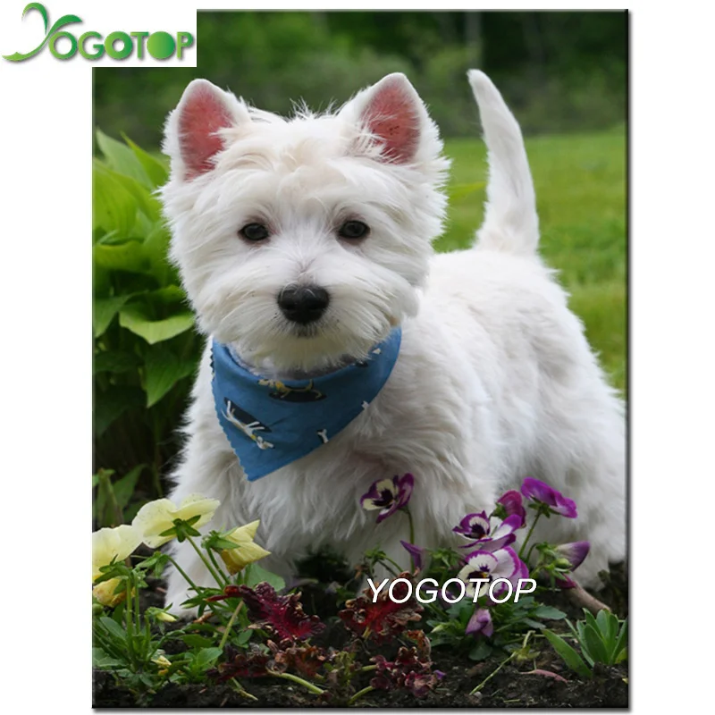 

YOGOTOP Diamond Embroidery Square/Round Diamond Painting Mosaic Full Display 5D DIY Rhinestone Decor westie dog Pet Animal YY430