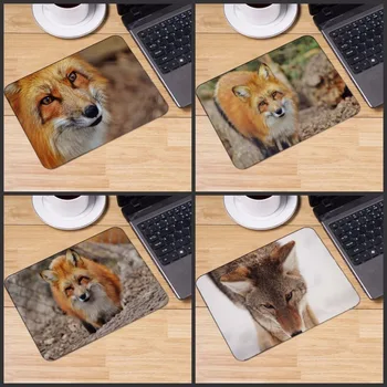 

Yuzuoan Animal Anti-slip Mousepad Computer Mouse Pad Table Mat for Optal Me Trackball Mouse Not Lockedge Mouse Size 22x18cm