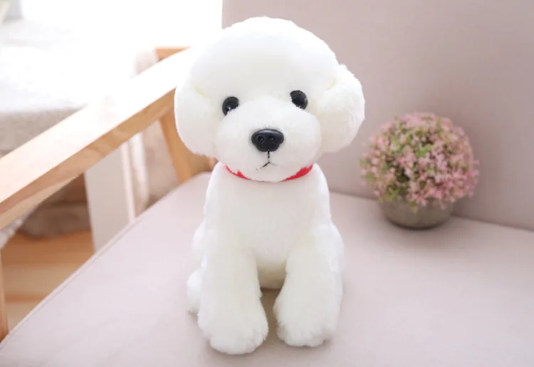 white dog teddy