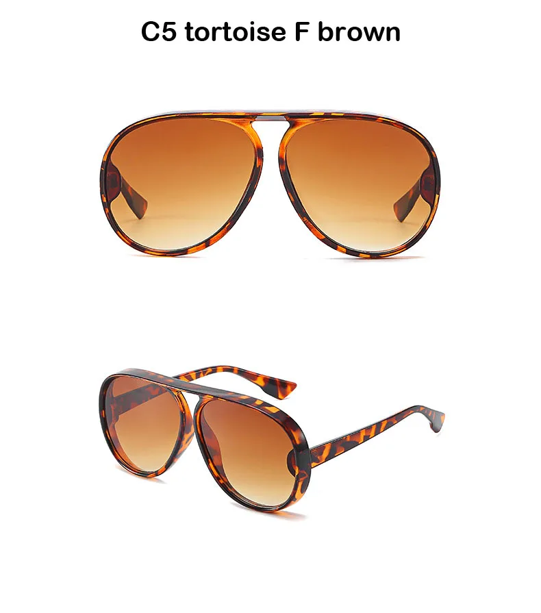C5 tortoise F brown