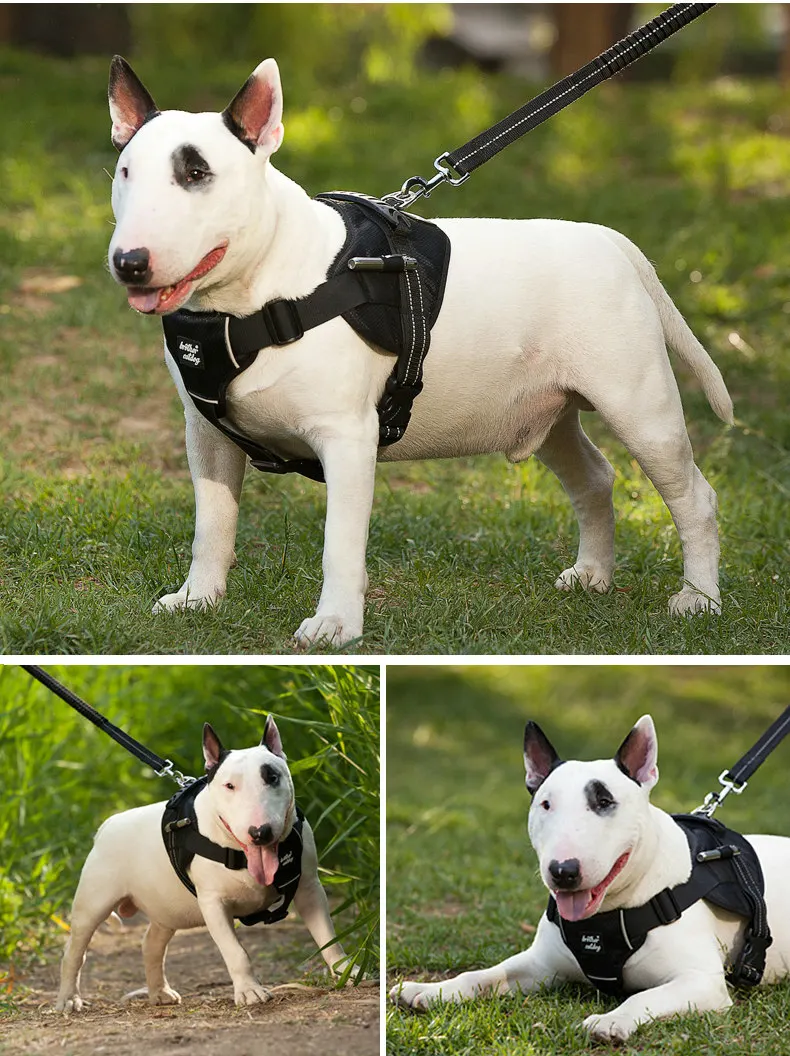 

Small Large Medium Dog Harnesses Durable Nylon Pet Dogs Harnesses No Pull Dog Training Walking Vest for Bulldog Golden Retriever
