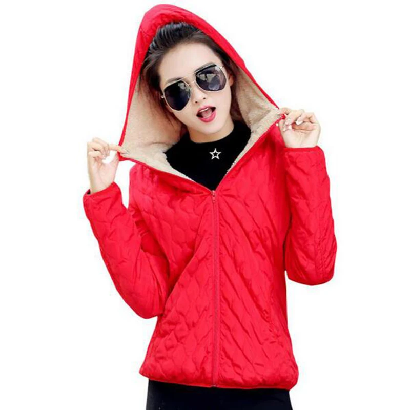 Флисовая женская зимняя куртка с капюшоном новинка 2017 теплая длинным рукавом