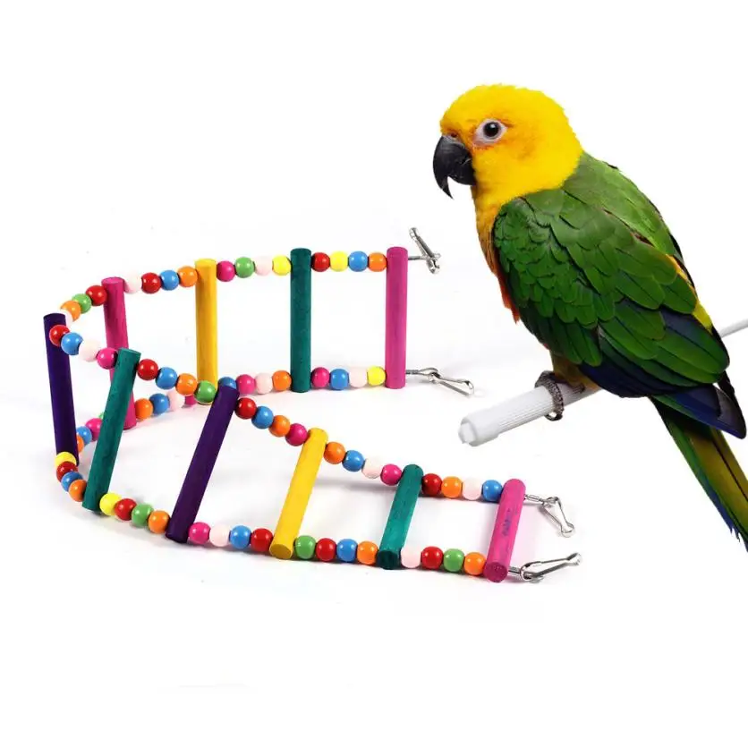 New Qualified Dropship Hot Selling 10 Layer Parrots Bird Flexible