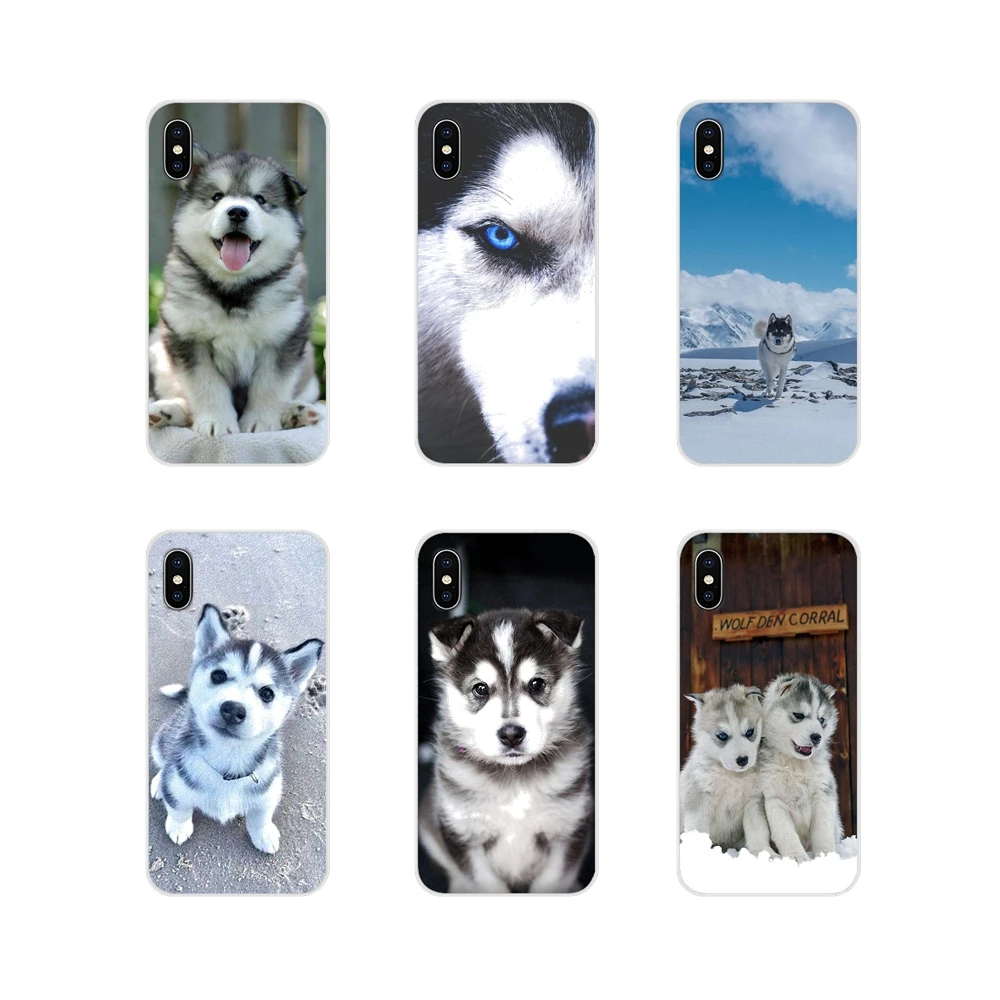 For LG G3 G4 Mini G5 G6 G7 Q6 Q7 Q8 Q9 V10 V20 V30 X Power 2 3 K10 K4 K8 2017 Lovely animal Husky puppy Mobile Phone Shell Cases | Мобильные
