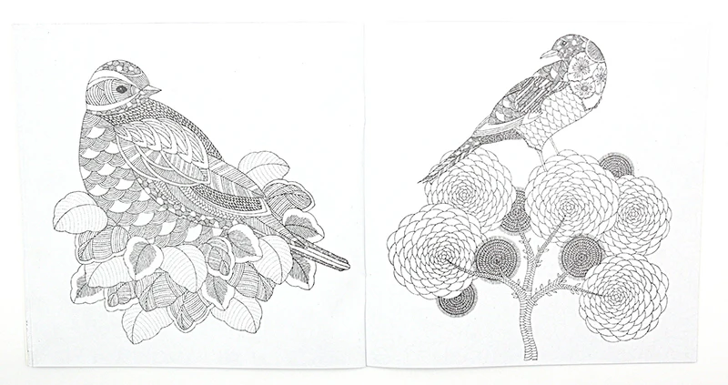 1 PCS 24 Pages Animal Kingdom English Edition Coloring Book For Children Adult Relieve Stress Kill Time Painting Drawing Book 1 PCS 24 Pages Animal Kingdom English Edition Coloring Book For Children Adult Relieve Stress Kill Time Painting Drawing Book