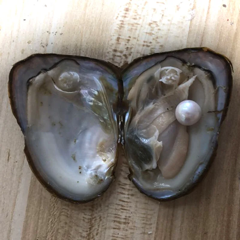 20pcs Single White 910mm Near Round Edison Pearl With Vacuum Packed