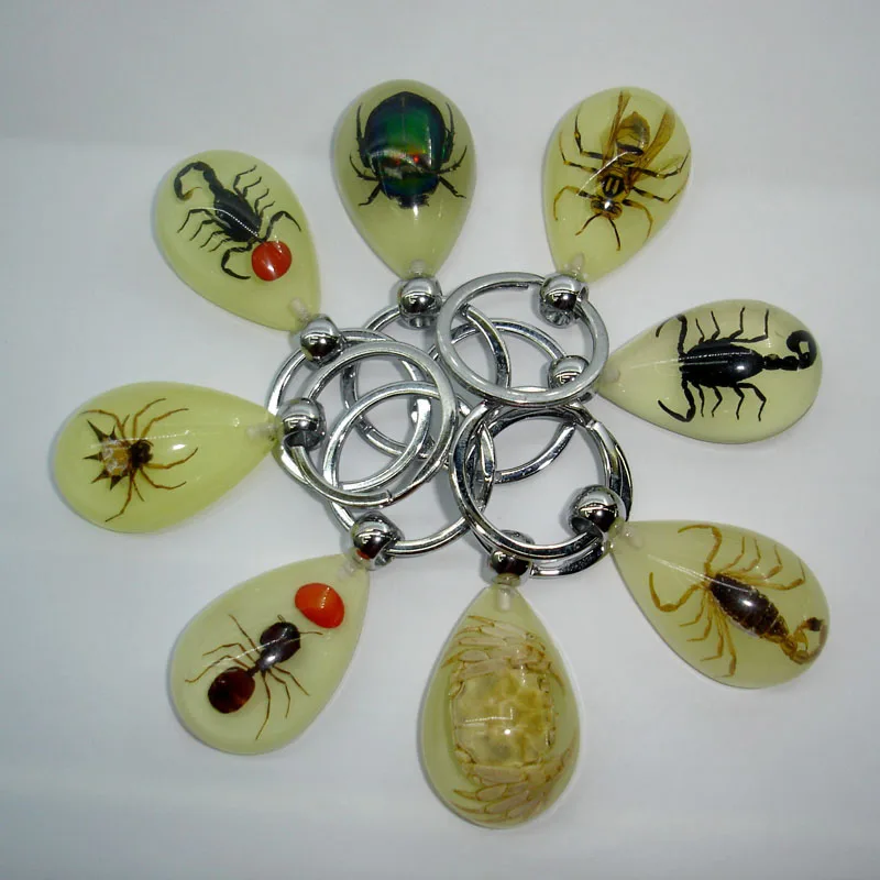 

120pcs/Lot Mixed High Grade Insect Scorpion Amber Lover Keychain Cool Key Ring Birthday Party Favors Gifts Free Shipping ZA1799