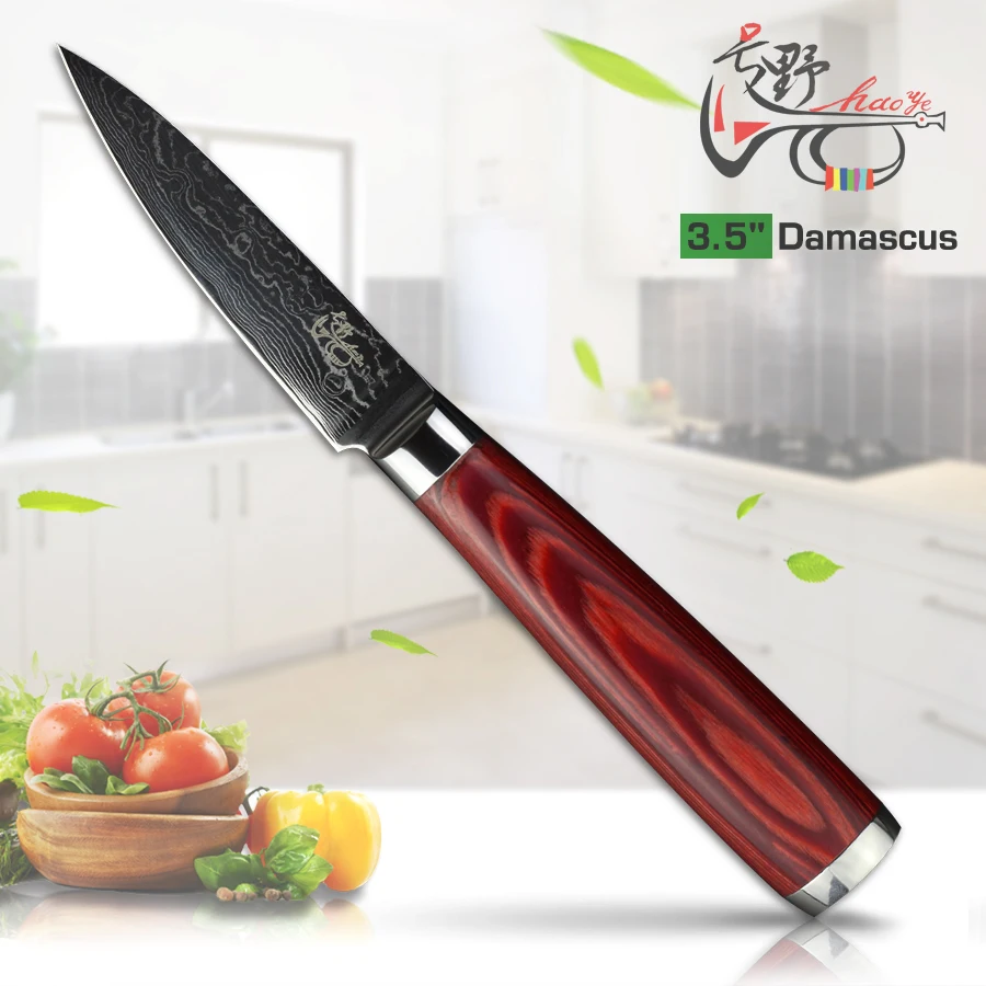 HAOYE 3 5 inch paring knife Japan Damascus stainless steel small kitchen knives durable blade luxury