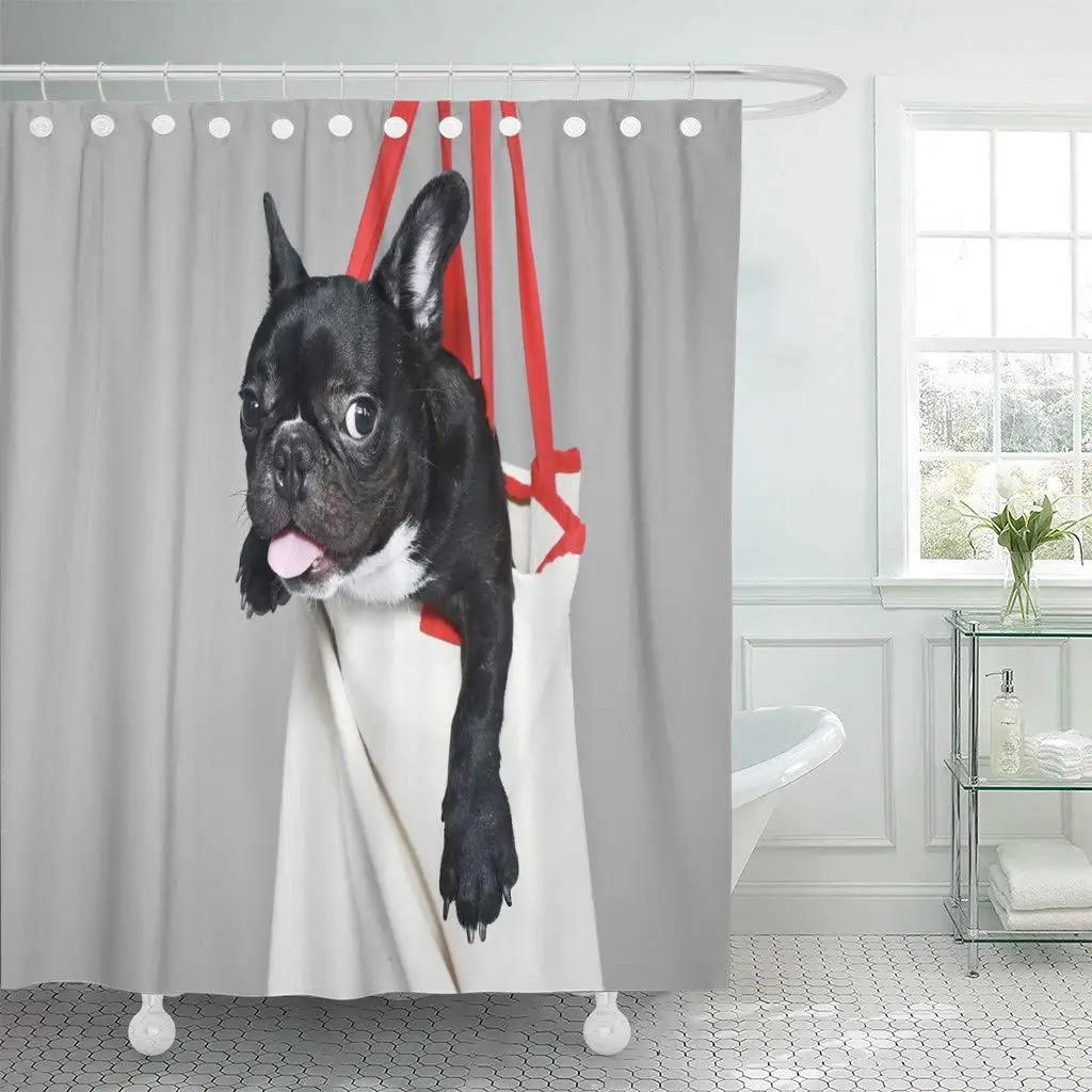 

Gray Buldog Small French Bull Dog Stand in Abandoned Accompany Adopt Alone Baby Black Decor Shower Curtains Bathroom Curtain