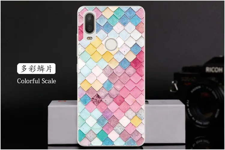  Colorful Scale