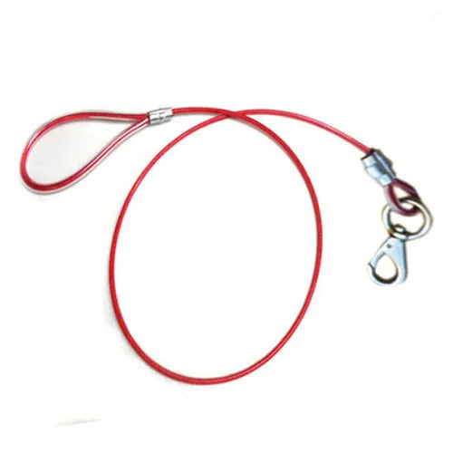 wire dog leash