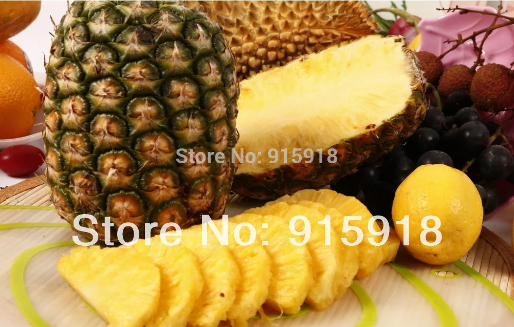 Pineapple fruit seed Ananas comosus Pineapple 5 seedsin Bonsai from