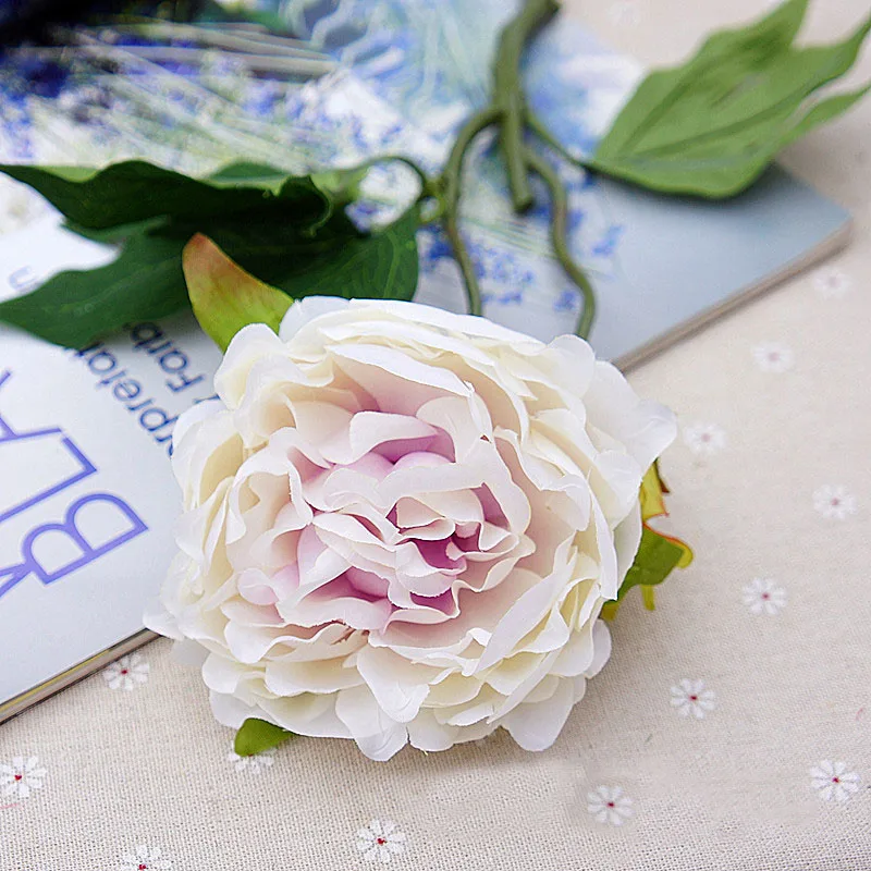 light purple white peony 