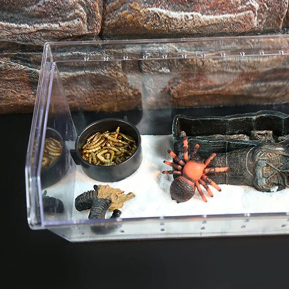 Рептилия, змея паук ящерица Скорпион Цельсия рогатая лягушка Гекко насекомое, Жук коробка для разведения склон нескользящий дизайн