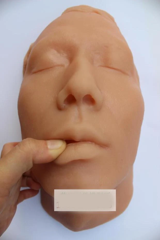 

Silicone Head Model Head Skeleton Skull Model Skin Suture Facial Model Minimally Invasive Cosmetic Study Model