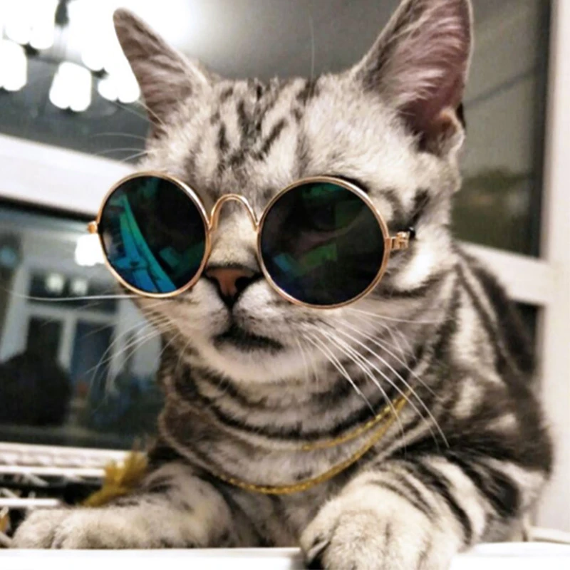 Cool cat sunglasses Clearance