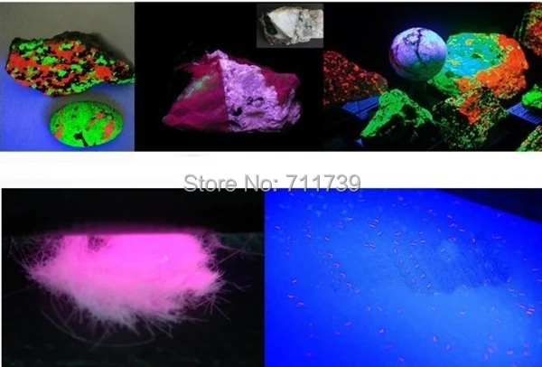 UV Flashlight   (2).jpg