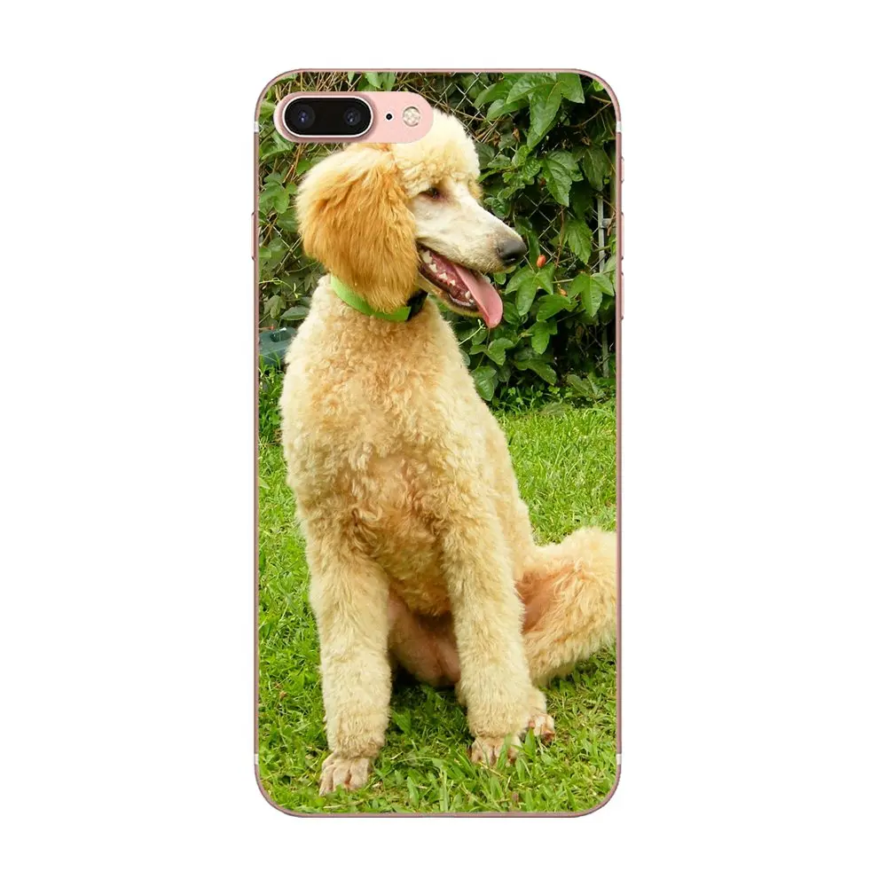 TPU художественный принт для Galaxy J1 J2 J3 J330 J4 J5 J6 J7 J730 J8 2015 2016 2017 2018 mini Pro Игрушка Пудель