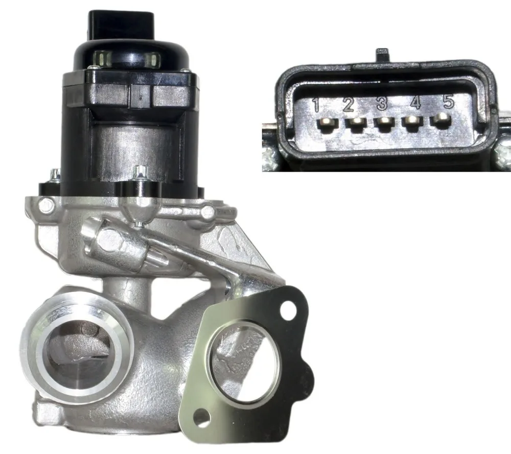 CITROEN C2 C3 C4 PICASSO BERLINGO XSARA EGR VALVE BLANK PLATE 3MM STAINLESS NZ CITROEN C2 C3 C4 PICASSO BERLINGO XSARA EGR VALVE BLANK PLATE 3MM STAINLESS NZ